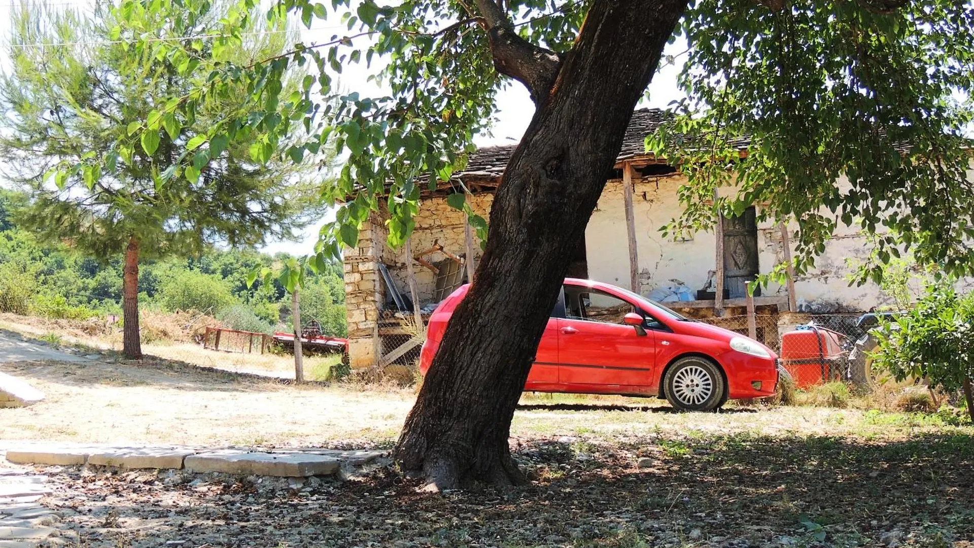 Guest house Guesthouse Parents House Berat