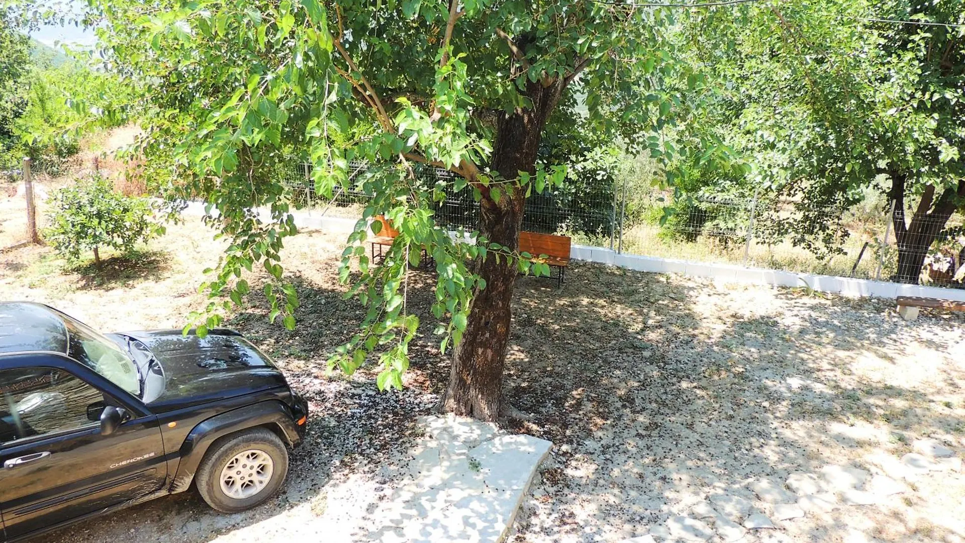 Guest house Guesthouse Parents House Berat