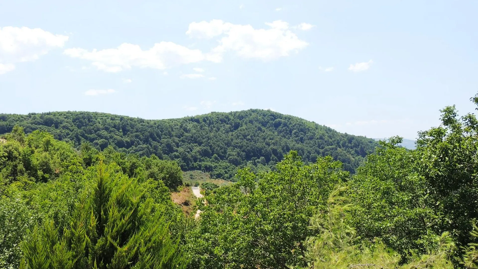 Guest house Guesthouse Parents House Berat Albania
